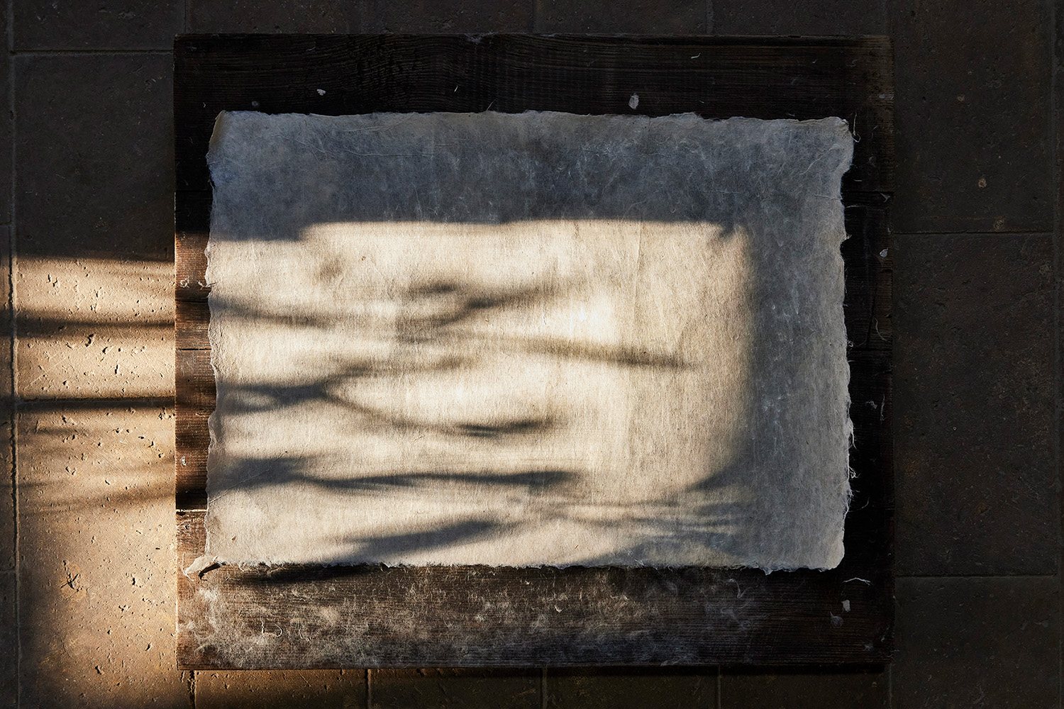A sheet of Samarkand paper drying in the light